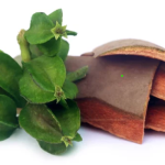 Sip a cup of Arjuna Herbal Soup and get rid of Heart Disease